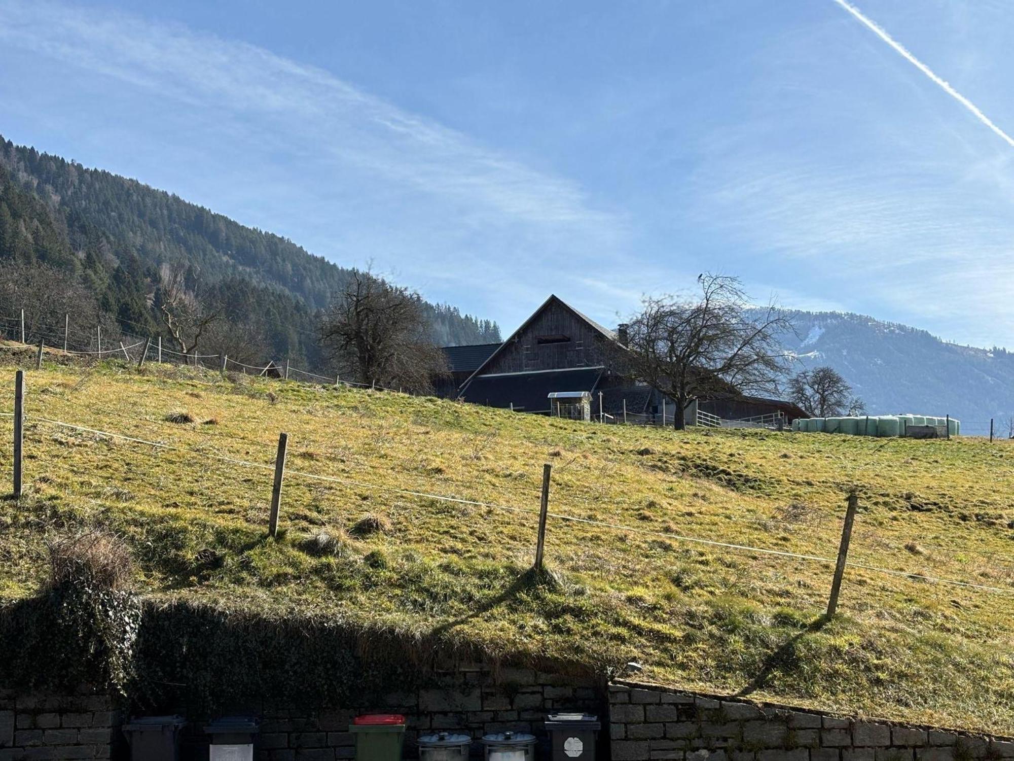 Moderne-Ferienwohnung-Nur-1Km-Vom-Millstaetter-See-In-Kaernten-Entfernt Millstatt Kültér fotó