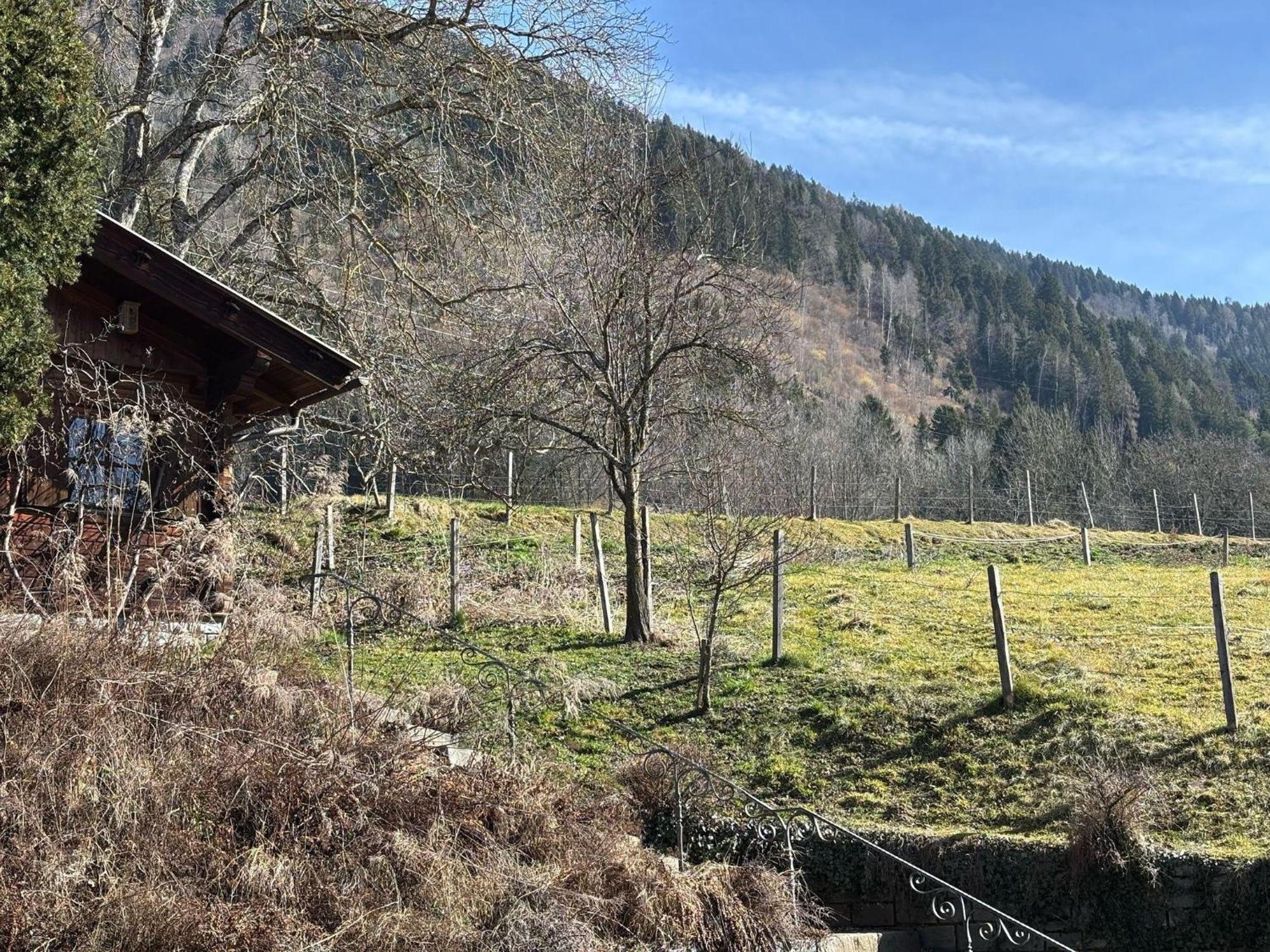 Moderne-Ferienwohnung-Nur-1Km-Vom-Millstaetter-See-In-Kaernten-Entfernt Millstatt Kültér fotó